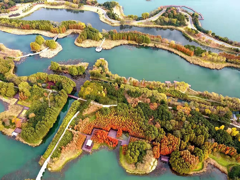 w66国际·利来(中国)最给力的老牌