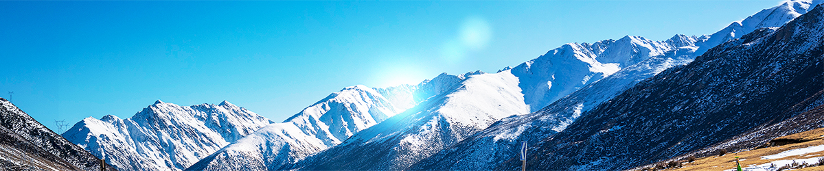 w66国际·利来(中国)最给力的老牌